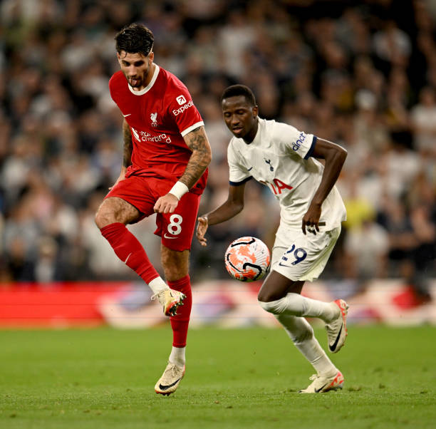 文班亚马展 文班亚马展